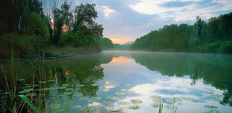 Grafik für -Nationalpark Donau-Auen: Schlösser und Schmankerln